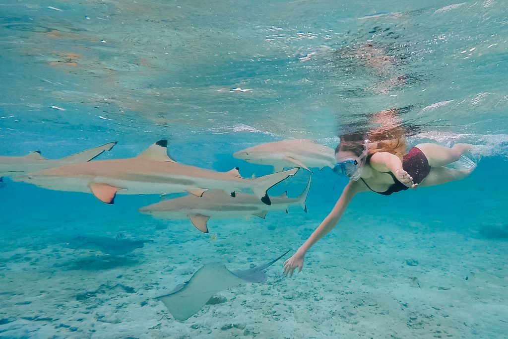 Holiday in Tahiti- Snorkelling with Sharks & Stingrays in Bora Bora