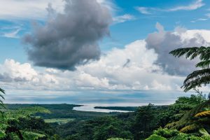 Things to do in the Daintree Rainforest- Great Barrier Reef