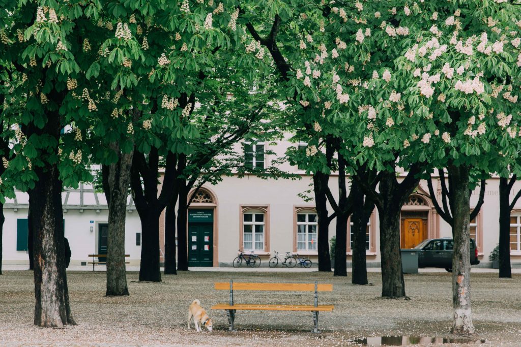 How long do you need in Basel?