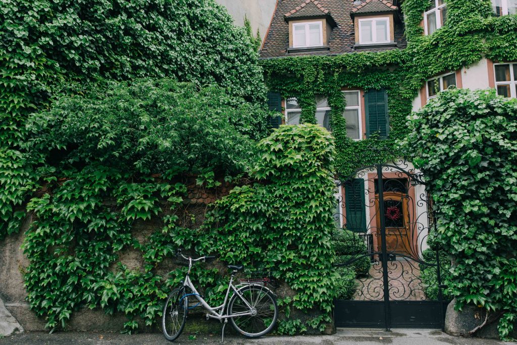 Is Basel worth visiting? | Cultural Capital Switzerland