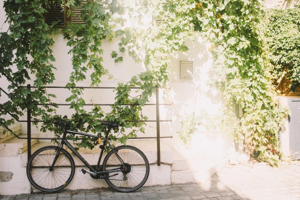 Unique Things To Do in Tel Aviv: Bike against vine-covered wall