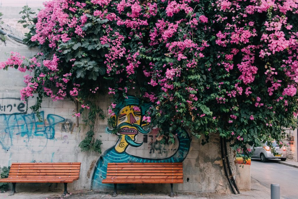 Unique Things To Do in Tel Aviv: Florentine street art