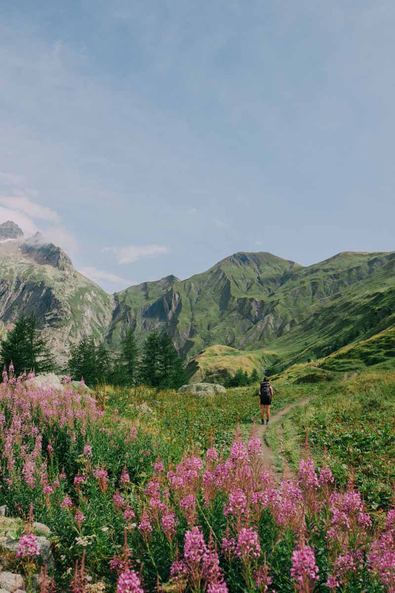 Tour du Mont Blanc Guided Hiking Tour TMB