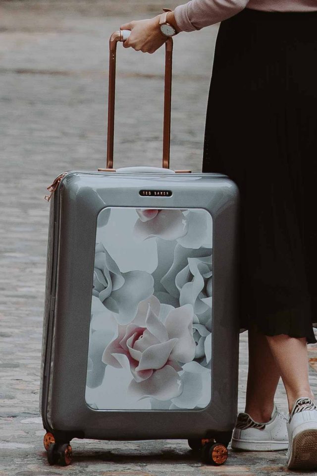 Ted Baker Suitcase (2) Polkadot Passport