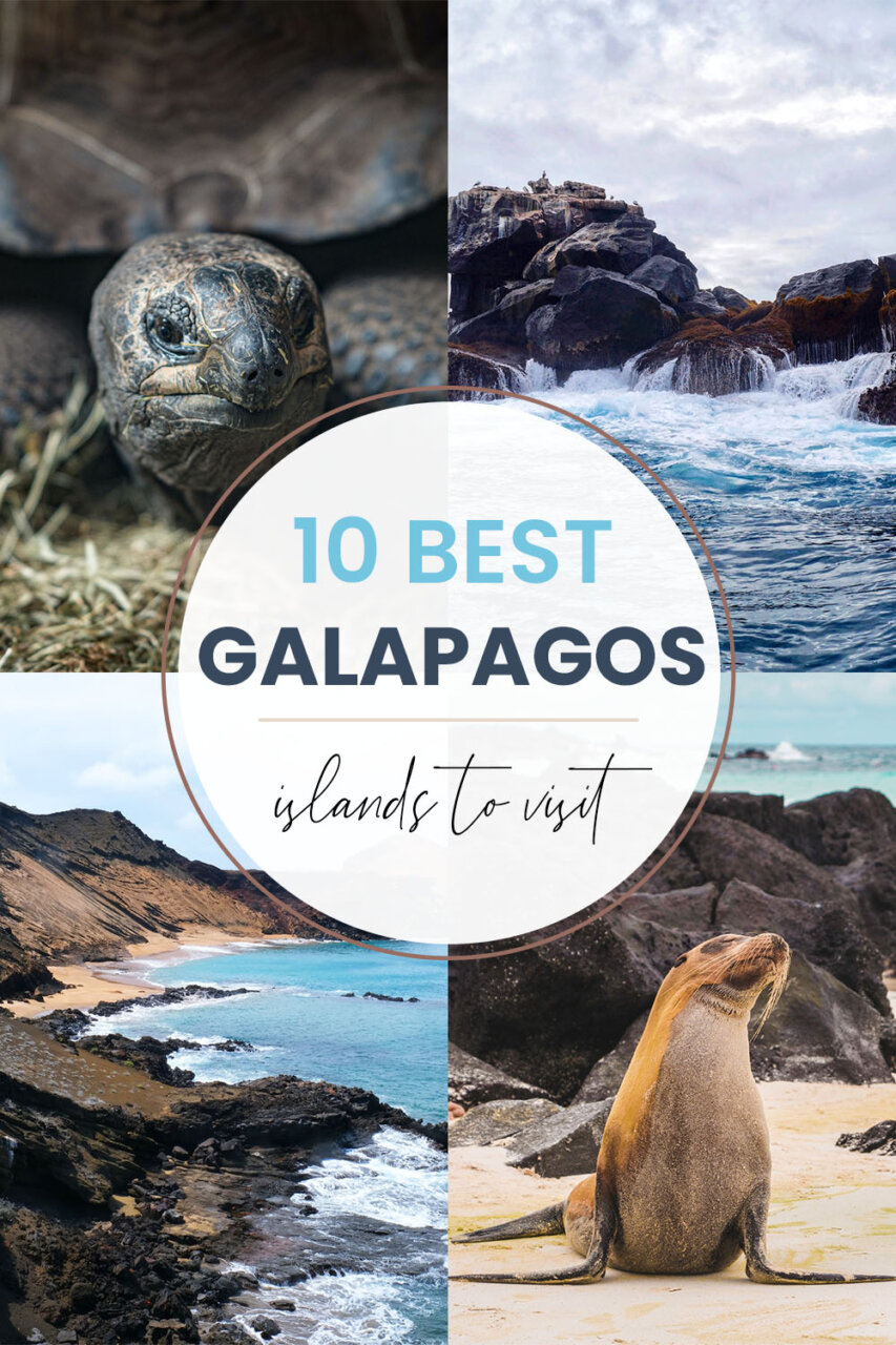 Best islands in the Galapagos to visit Pinterest