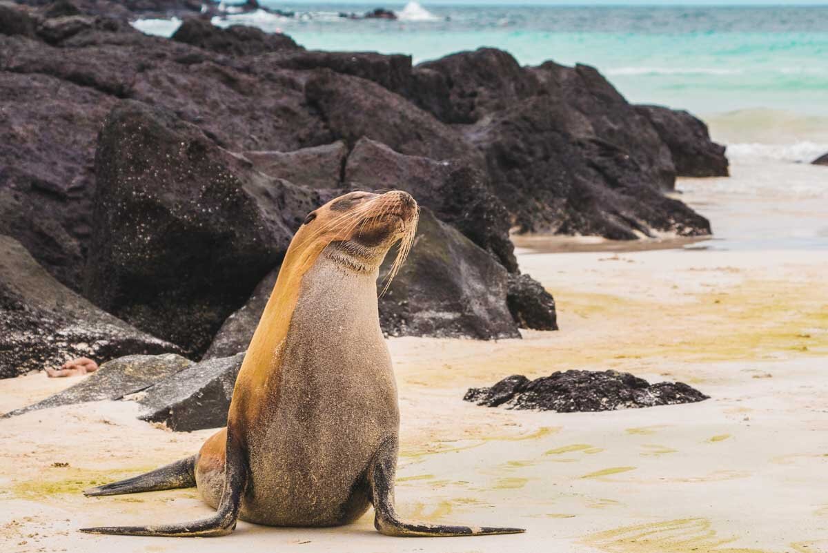 10 Best Islands in the Galapagos to Visit in 2022