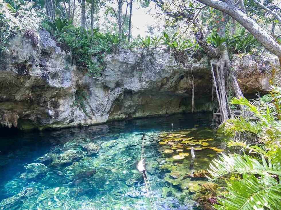 12 Best Cenotes To Visit In Riviera Maya