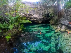 Cenotes Mayan Riviera: