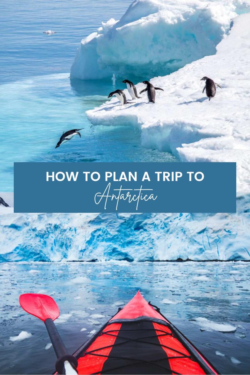 How to Plan a Trip to Antarctica