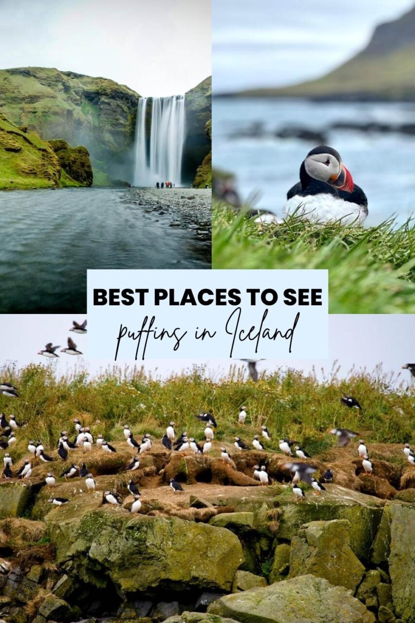Best places to see
