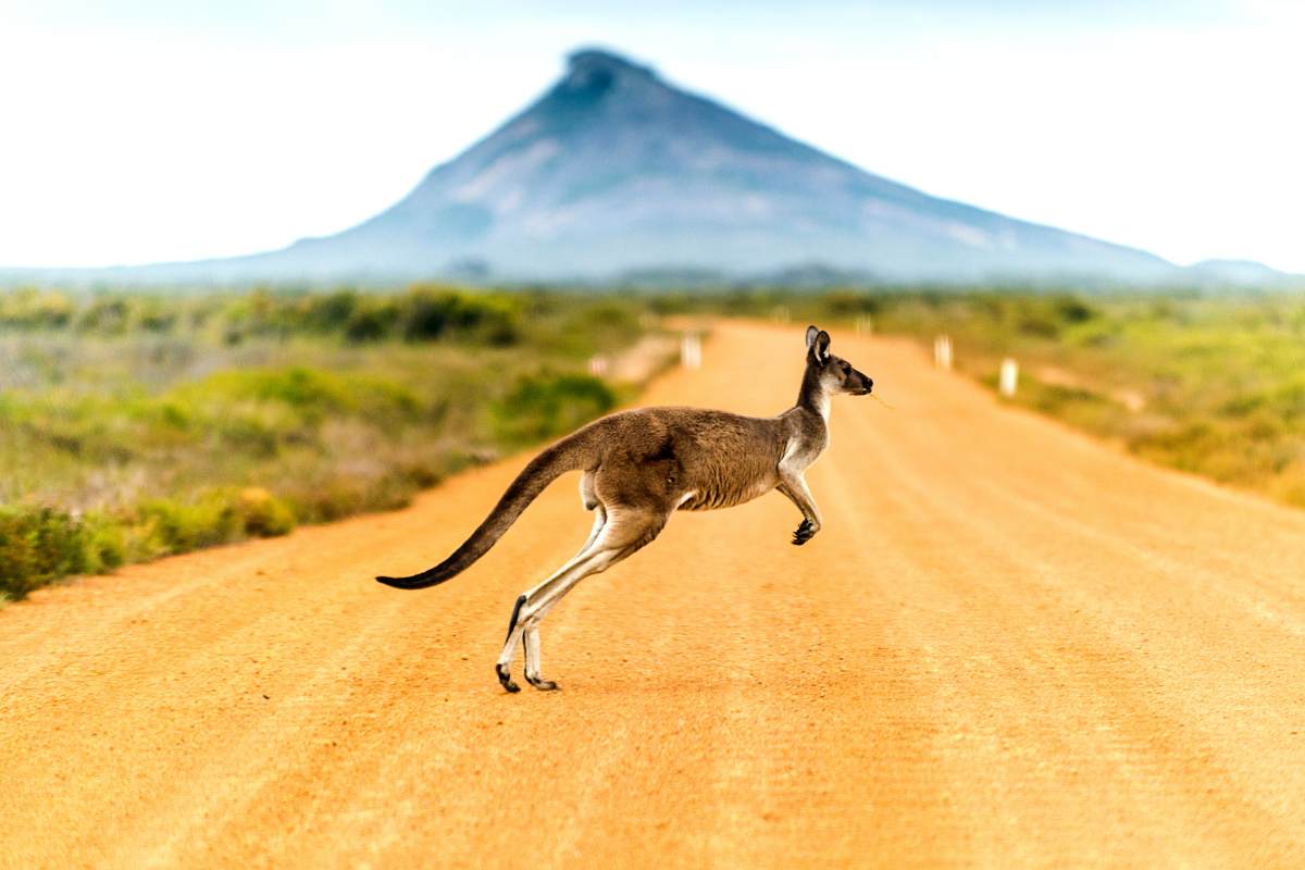 10 Things to Know Before Visiting Australia