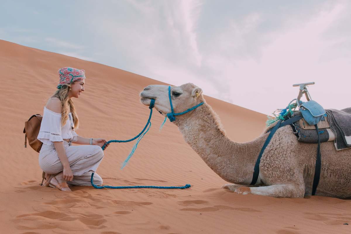 Best Time to Buy Travel Insurance Online: Before, During or After Booking Tickets?